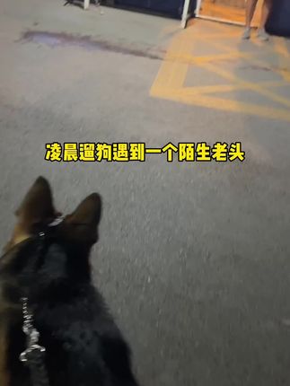 憨憨金和帅帅银