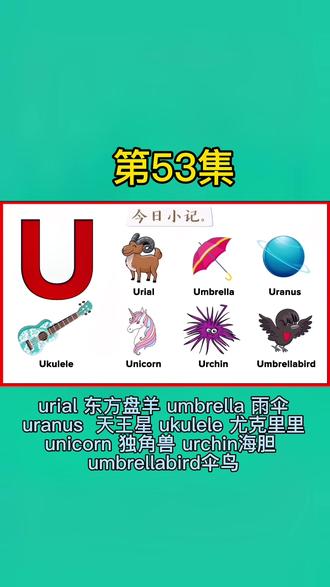 #儿童益智 #学英语 #趣味英语 #英语 字母U urial 东方盘羊 umbrella 雨伞uranus 天王星ukulele 尤克里里unicorn 独角兽urchin海胆 umbrellabird伞鸟@成都晚报 @成都美食小分队 @四川观察