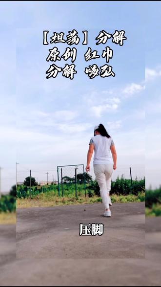 #坦荡 #背面分解 业余爱好 分解视频给予参考