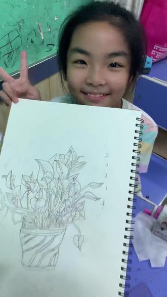 速写植物篇绿萝开场🌱