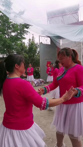 全部是林里漂亮的小阿妹