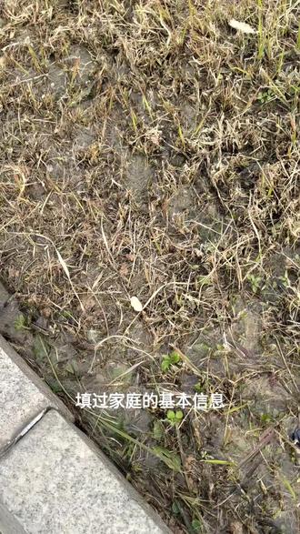 有的些私立学校都是汉奸的校学!有可能是日本合资的!