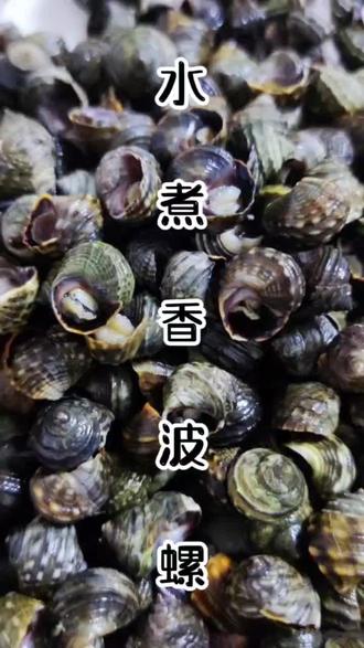 原汁原味的香波螺####抖音美食推荐官 #分享美食分享快乐 @简妮君 这会我吃了你来看看吧