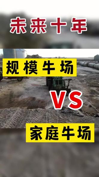 规模牛场和家庭牛场,到底谁能成为肉牛产业主力!#肉牛养殖#育肥牛饲料#隆越兴牧饲料