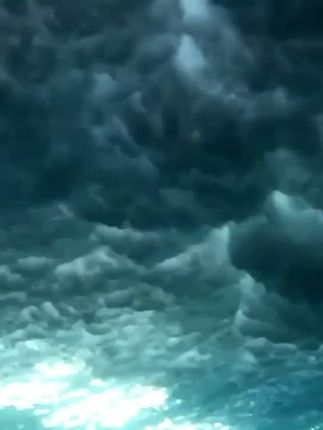 熊猫咔咔星球好物分享