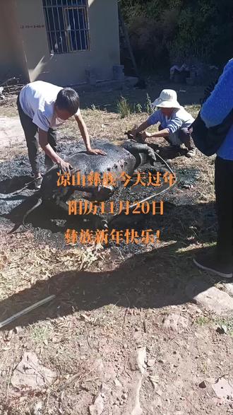 大凉山彝族过年的场面壮观不?