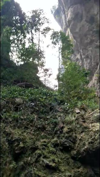 游记,温州雁荡山,一个人很早很早起床了!进山后基本无人区,到了山顶突然之间感觉有点害怕,怕来狼.蛇🐍或者其它动物等,当时我能一个人玩儿下去而且很开心快乐!完全靠的是善念,善行……🙏🙏🙏