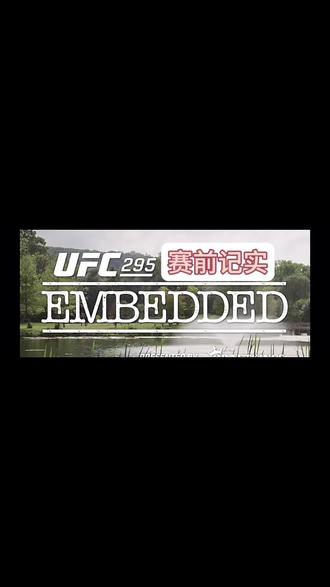 👁️🗨️【UFC295】 |赛前记实。#ufc295 #ufc #综合格斗 #mma #普罗哈兹卡vs佩雷拉