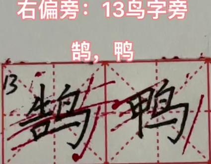 右偏旁:13鹄,鸭#每日一练 #硬笔书法 #同城热点 #创作者扶持计划 #家长收藏孩子受益 #࿆每天坚持练字