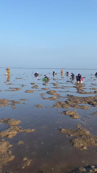 泸沽虾#赶海# - 抖音