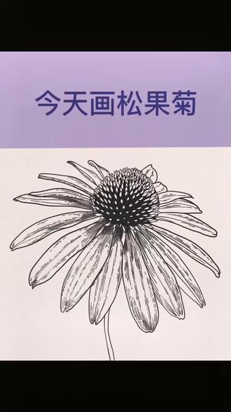 画#松果菊 的教程来啦!天气晴朗愉快的周末#画画 #插画 #充能计划 #画画教程 #皮卡丘六一快乐