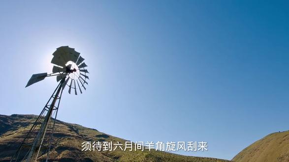 听故事 学知识《斥䳛yan笑鹏》#关注我每天分享不同的故事原创视频#国学成语故事#中视频伙伴计划