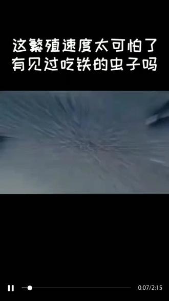 你见过这种吃铁的虫子吗?
