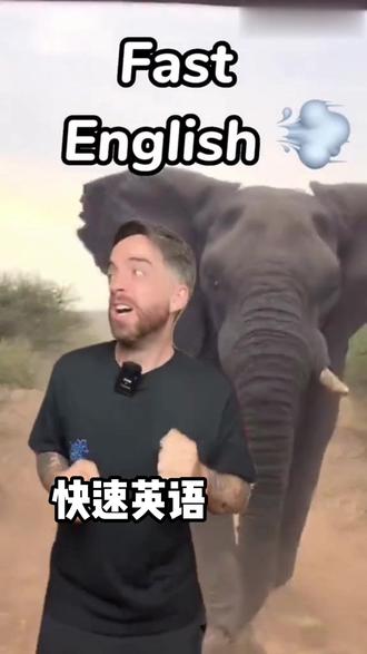 使用快速英语让你在英语对话中听起来更自然!!看看有哪些吧~
#老外真会玩 #英语 #英语口语 #英语谁不会 #每天学习英语一点点