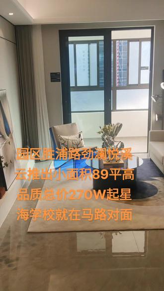 #房产 #现场实拍 #好房推荐 #带你看房 #抖音房产 园区胜浦高贸新城,路劲推出小面积户型,刚需客户可以上车,星海学区,总价270W,