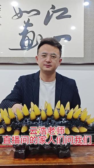 海参个大小和营养价值有关系吗?大家评论区来聊一聊! #海参 #辽刺参 #大连辽刺参