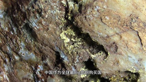 铜精矿进口清关详细流程及清关手续#国际物流 #青岛报关公司#青岛清关公司#青岛报关行#青岛货代公司