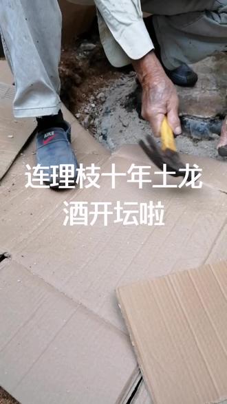 连理枝埋藏地下十年的土龙酒今天开坛啦#好东西一起分享 #这家店回头客超多 @抖音小助手