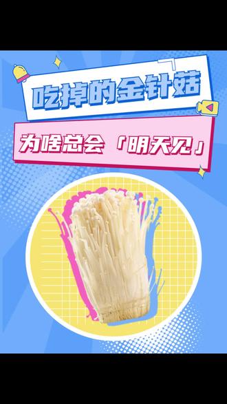 吃掉的金针菇
为啥总会「明天见」##金针菇