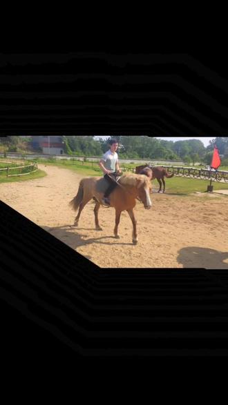 学骑马真的好难 屁股是真的疼🥺#马术运动