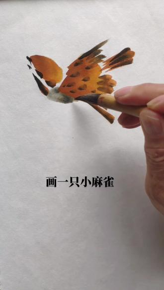 画一只小麻雀#写意花鸟 #国画教程 #感谢抖音