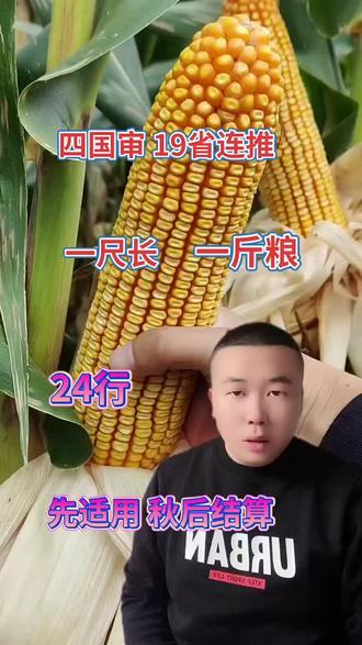 世界知名风险投资案 a0067ed8e6ce495b841147ea30d1a8ca~tplv-dy-resize-origshort-autoq-75:330.jpeg?x-expires=1986660000&x-signature=WrEBR87JzlA7HjRDwjqJuRS6dVI%3D&from=3213915784&s=PackSourceEnum_AWEME_DETAIL&se=false&sc=cover&biz_tag=pcweb_cover&l=021671300825187fdbddc0100ff2f010a706ac300000042831ec6