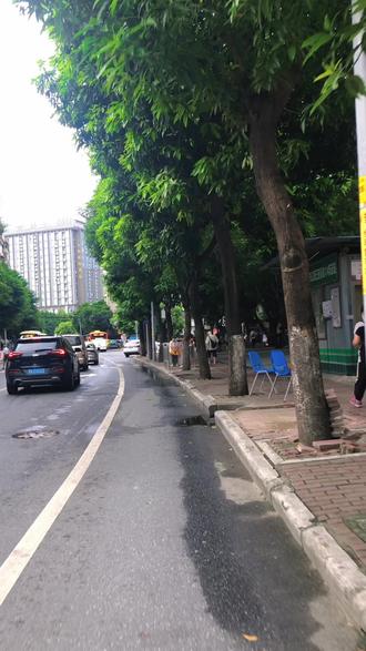伯公保号潮汕人顺顺尼#潮汕 #伯公保号