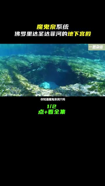 如果你是真正的潜水爱好者,此生应该去体验一下来自佛罗里达州圣达菲河的“魔鬼之眼”,它有着令人惊叹的地下宫殿。提示:非专业人员切勿模仿#魔鬼之眼 #水底世界 #水下拍摄 #水下之秘 #dou上热门