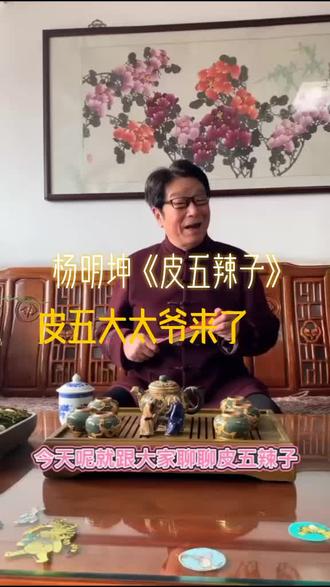 #扬州评话《皮五辣子》#国家非遗传承人—杨明坤大师巨作@抖音小助手
