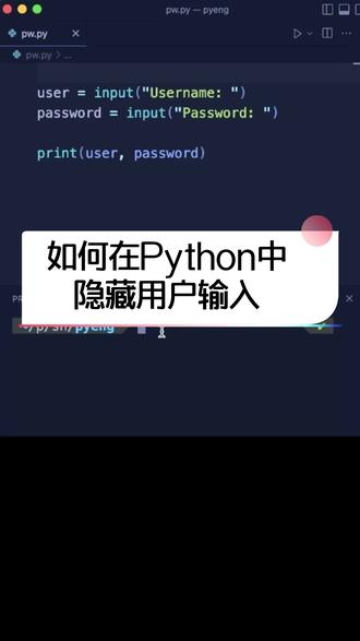 如何在Python中隐藏用户输入?#python