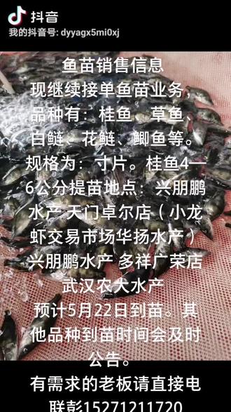 我所有人@鱼苗批发出售