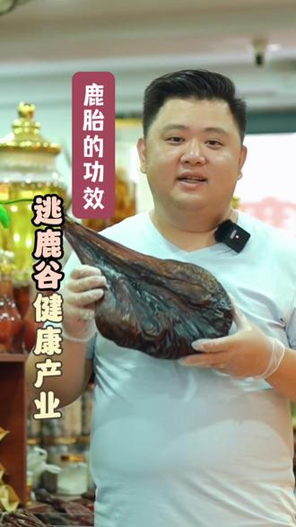 梅花鹿鹿胎的功效和作用#梅花鹿鹿胎 #梅花鹿 #养生