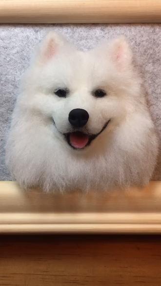 萨摩的制作过程。#羊毛毡 #萌宠出道计划