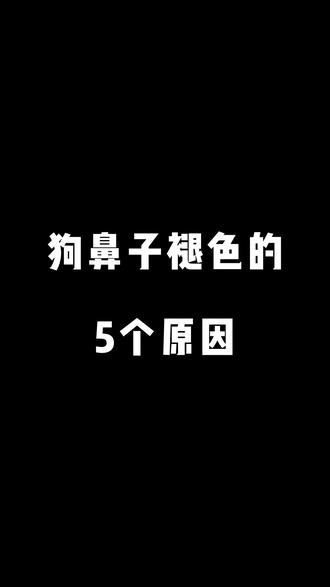 狗鼻子褪色的5个原因#萌宠 #宠物 #狗狗 #家有萌宠