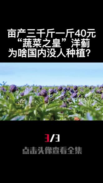 亩产三千斤一斤40元,“蔬菜之皇”洋蓟,为啥国内没人种植?