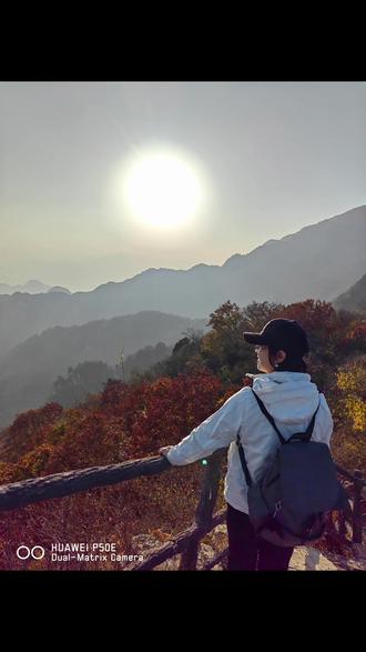 秋游 - 河北保定易县云蒙山皇家森林公园赏秋#大山深处自然美山清水秀好风光 #去欣赏秋天的颜色吧 #登高望远放飞心情