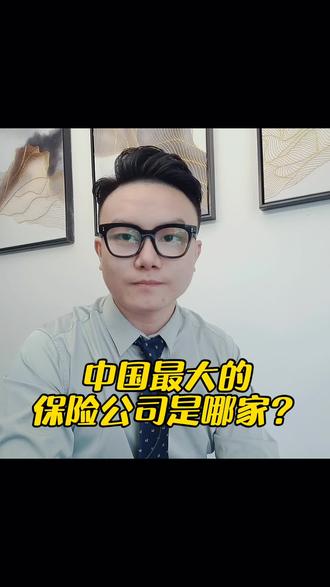中国最大的保险公司是哪家?