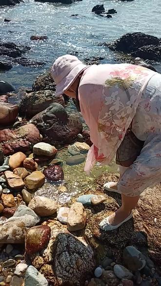 深圳西涌天文台#赶海拾贝