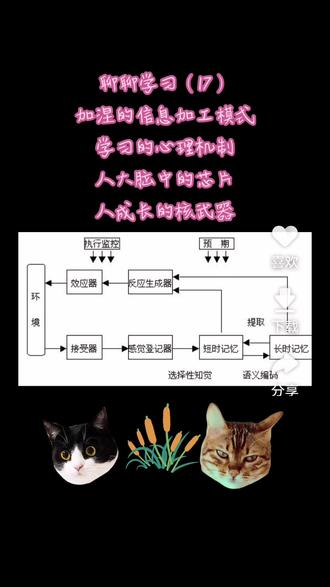 聊聊学习(17)掌握了学习的原理,就拥有了人成长的芯片。