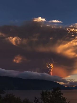 熊猫咔咔星球好物分享