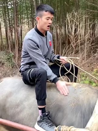 蒲家乐🔥三档起步