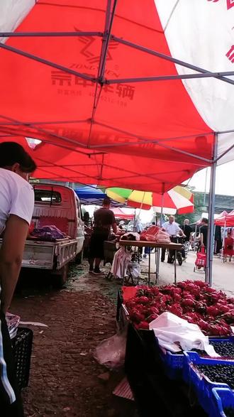 一六七贤,二七潘村,三八党家,四九井家沟,五十朱庄,有多少人能明白这些?