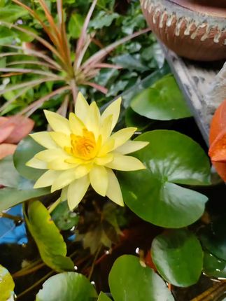 Ud6ldlmmvilxrm Ud6ldlmmvilxrm