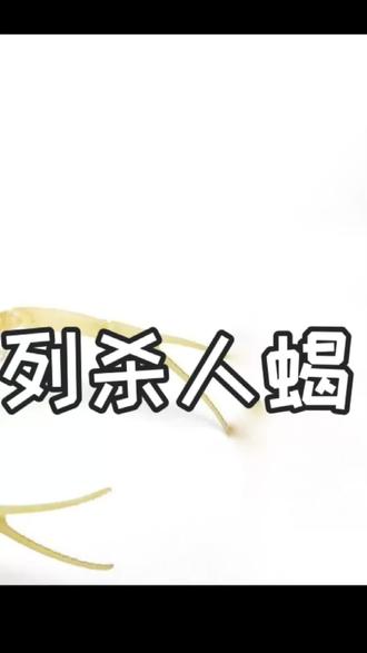 上手一只#蝎子 是什么感觉?