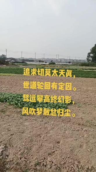 追求切莫太天真,
世道轮回有定因。
骛远攀高终幻影,
风吹梦散总归尘。