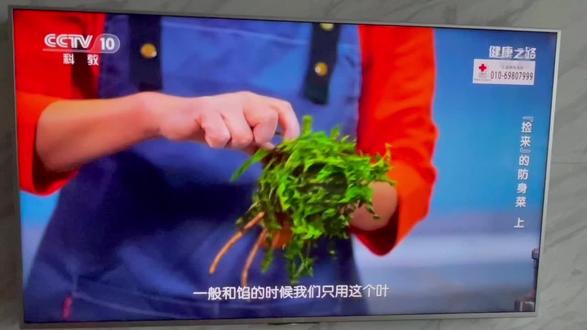 蒲公英怎么吃,怎么保存