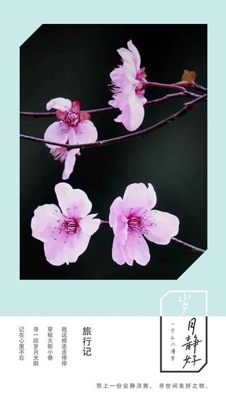 上善若水啥意思啊 af00688c443a4ee1804d2ede9b1911ae_1642986510~tplv-dy-resize-origshort-autoq-75:330.jpeg?x-expires=1999299600&x-signature=nEkxYKLpppA6GdB6PQfDKOZpLqs%3D&from=3213915784&s=PackSourceEnum_AWEME_DETAIL&se=false&sc=cover&biz_tag=pcweb_cover&l=20230513093328A540ED150E842D7BCA33