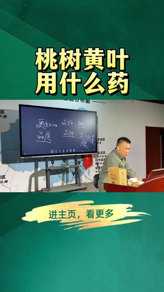 桃树黄叶用药#三农 #果园数据化管理 #桃树