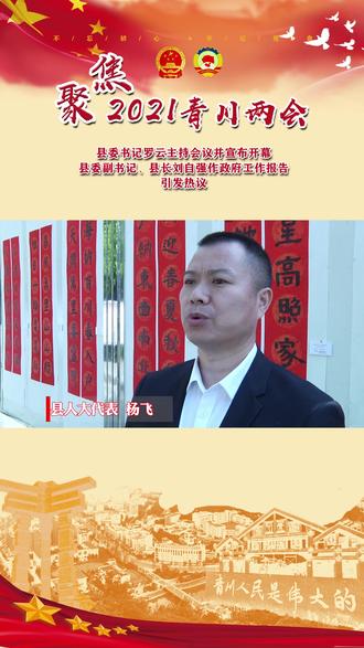 #青川县人大代表热议县政府 #工作报告