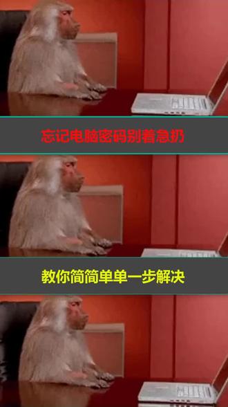 电脑忘记密码教你三步解决问题~你学会了嘛。
